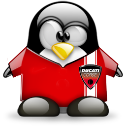 penguin pingouin pinguino 698